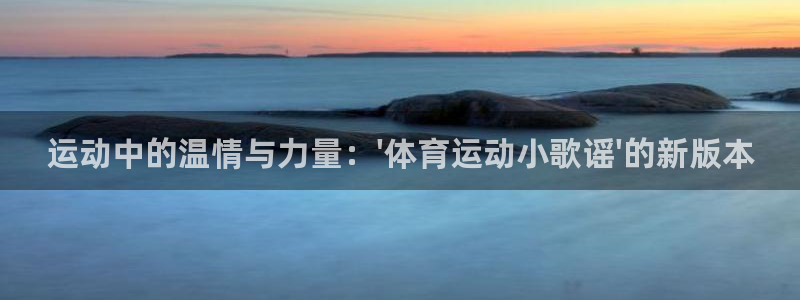 vsport体育平台：运动中的温情与