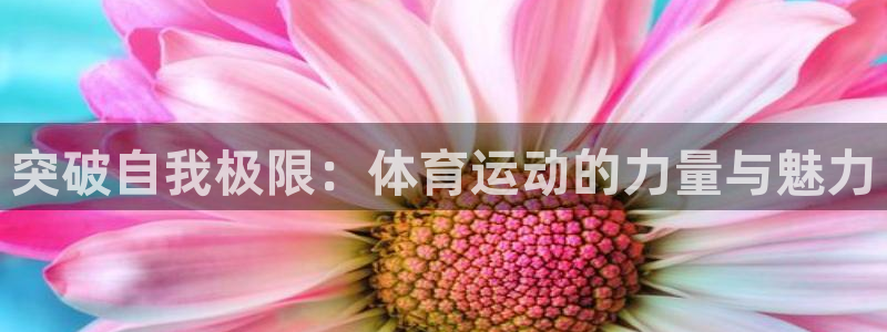 vSport体育在线登录平台：突破自