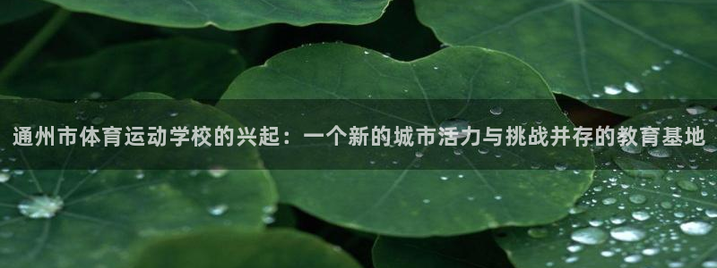 VSport体育官网入口