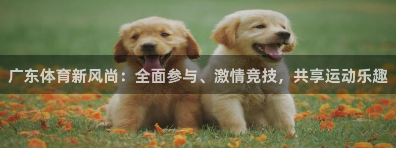88看球nba直播官网