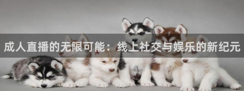 88看球nba线上直播
