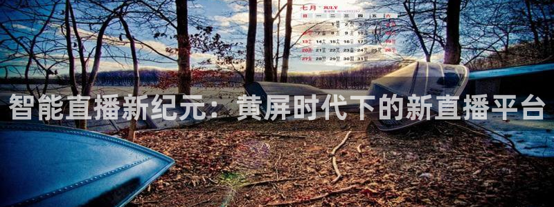 188看球直播官网入口：智能直播新纪元：黄屏时代下的新直播平台
