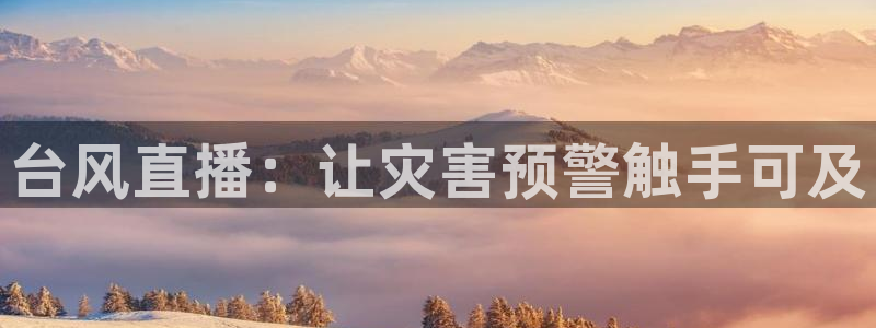 88看球直播(无插件)