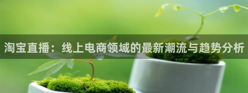 88看球体育