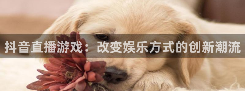 88看球直播