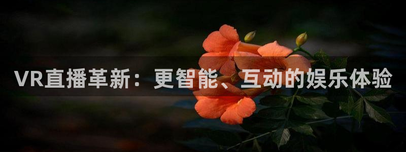 88看球nba直播